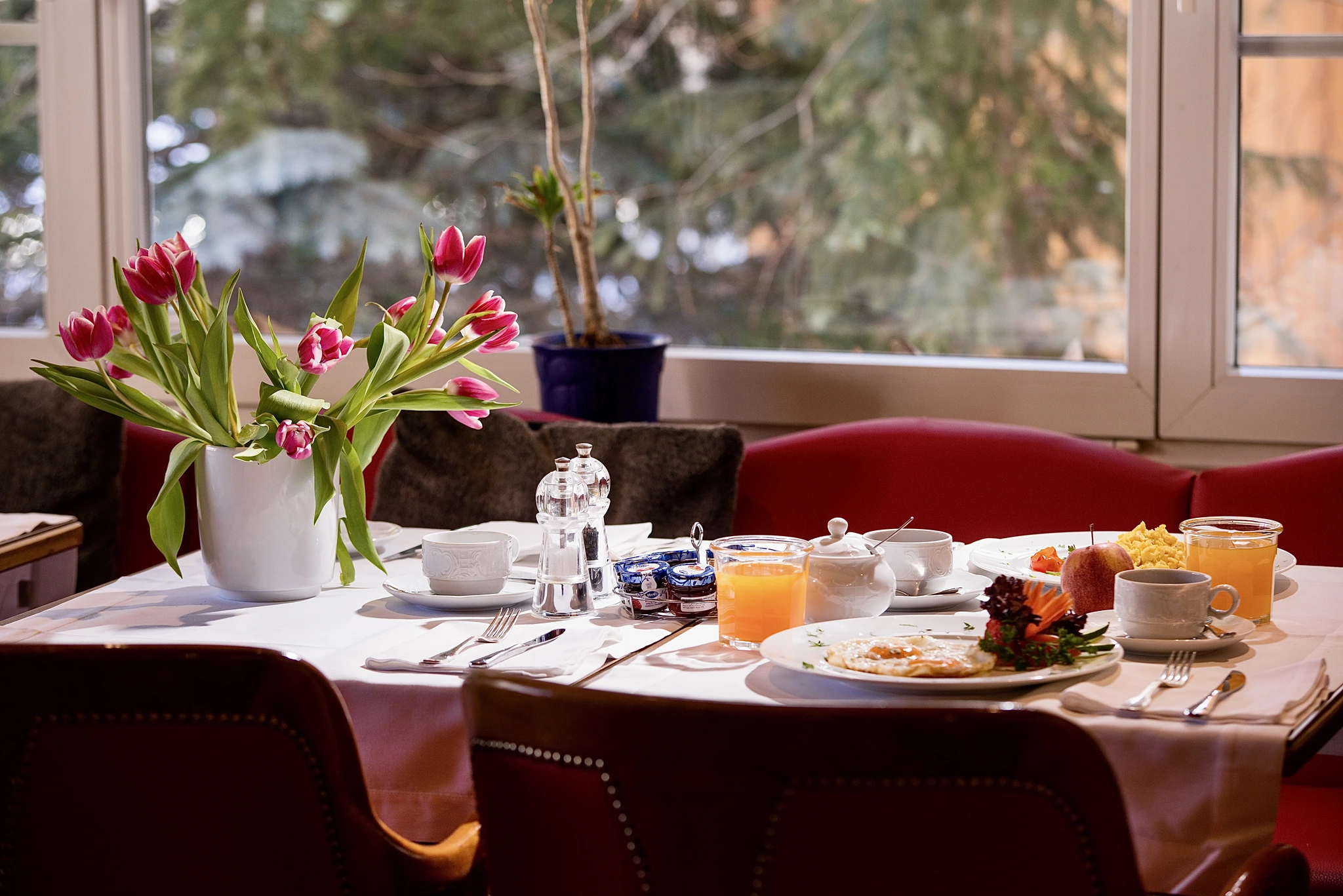 Breakfast at Hotel Albana Real